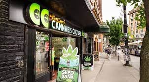 cannabis dispensary2.jpg