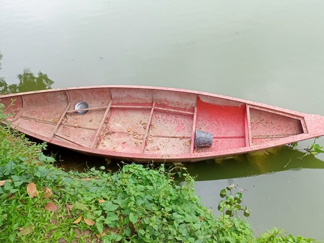 IMG20250614103646.jpg