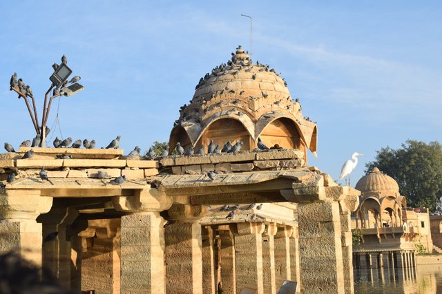2 Jaisalmer  (236).JPG