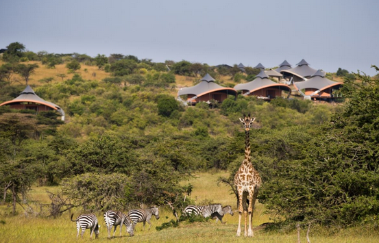 mahali mzuri 4.PNG