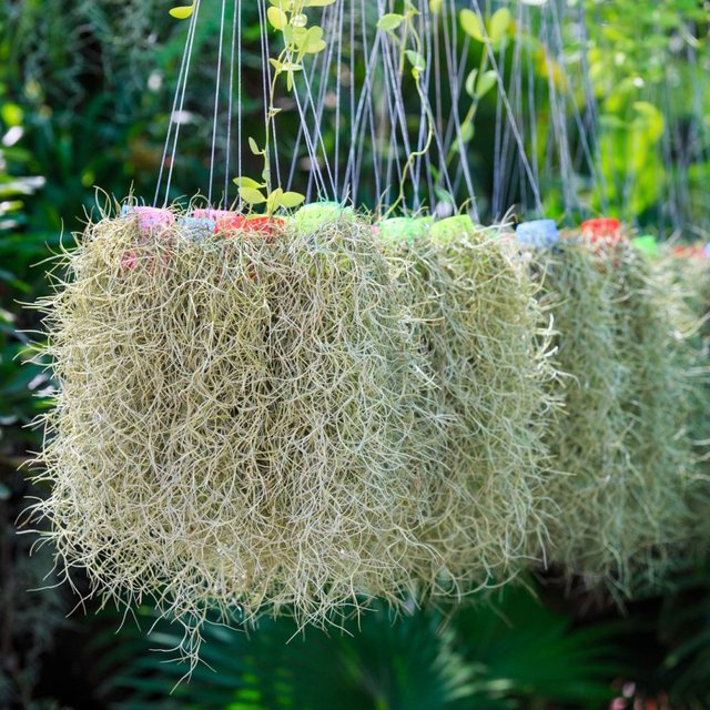 Artificial Air Plant / Spanish Moss (Old Man Beard) 60cm