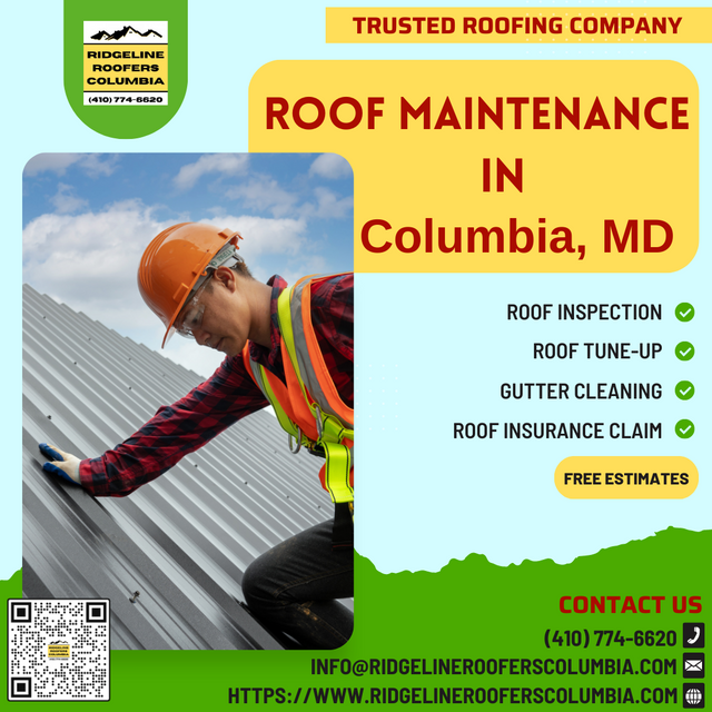 ROOF MAINTENANCE.png