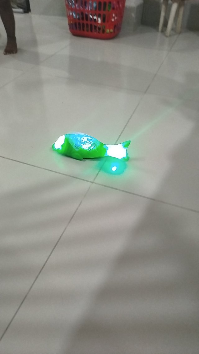 1000018676.jpg