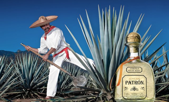 tequila-agave.jpg