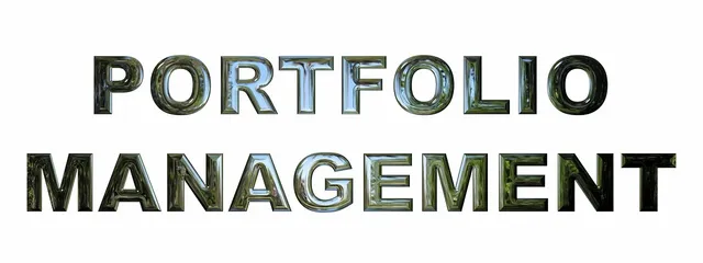 portfolio-management-2428013_1280.webp