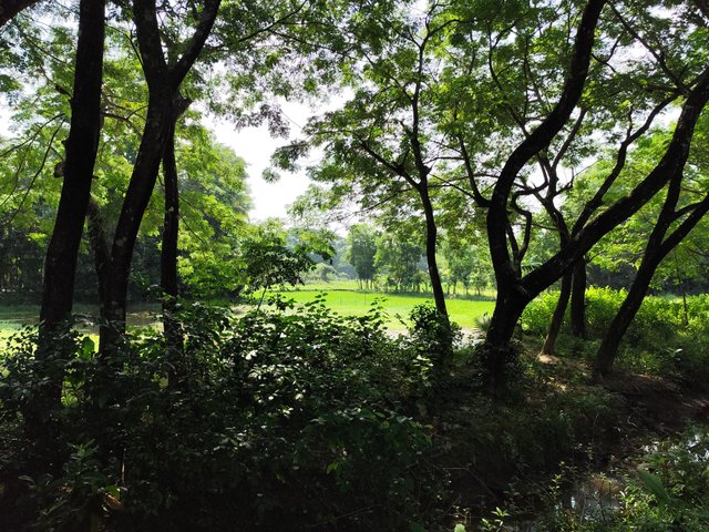 IMG_20250919_094014.jpg
