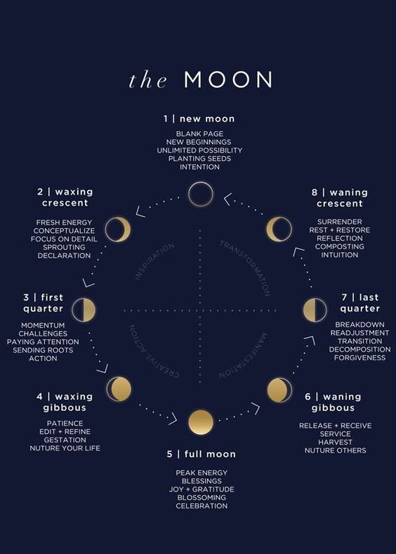 the moon phases.jpg