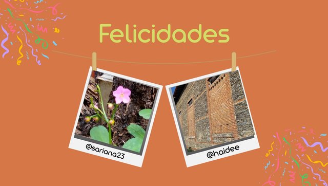 Concurso fotográfico.zip - 4.jpeg