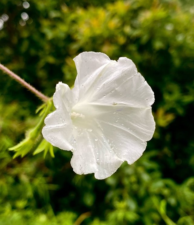 IMG_20250813_000733.jpg