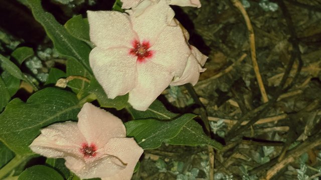 20241210_021747.jpg