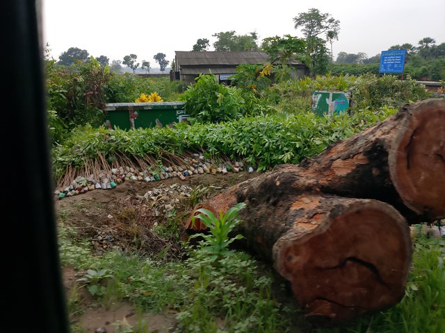 1000045025.jpg