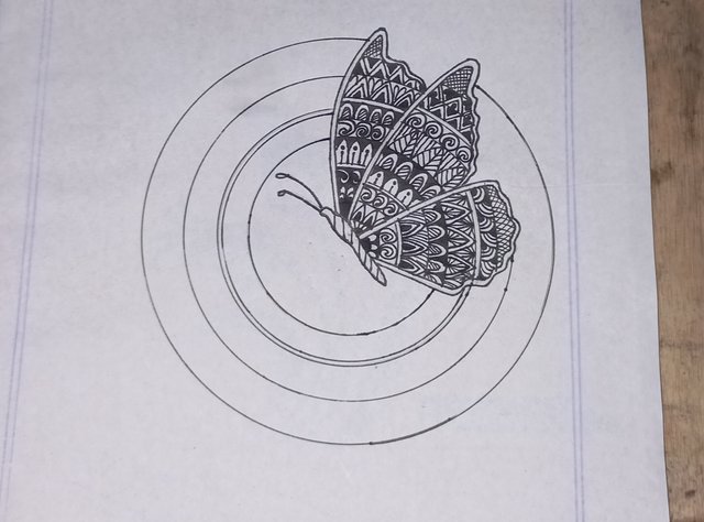 20250802_210507.jpg
