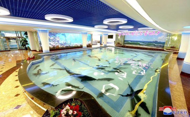 A general view of the Daedong River Fish Market Restaurant in Pyongyang in this undated photo released July 30, 2018. KCNA via REUTERS.jpg