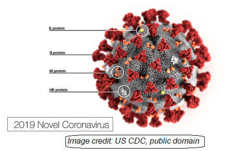 corona virus CDC public 2019-nCoV-CDC-23313.png
