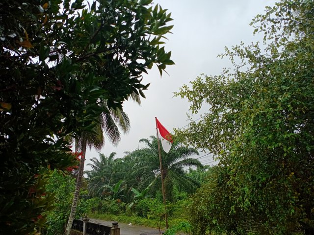 IMG20250822154752.jpg