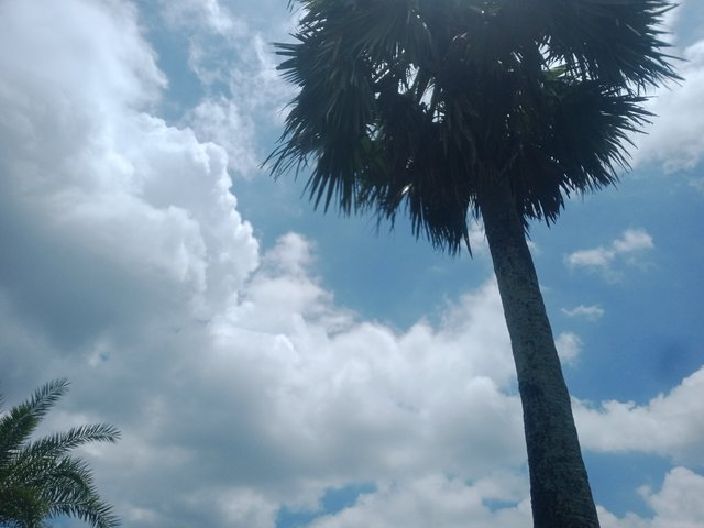 IMG20250628111354.jpg