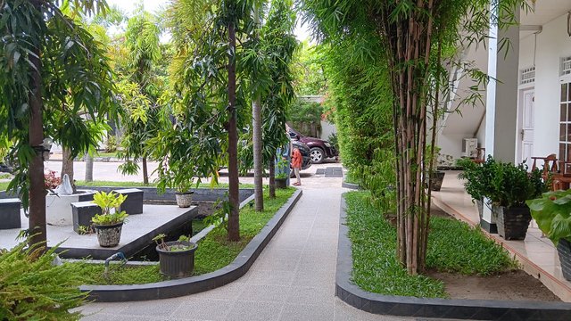 20250607_114433.jpg