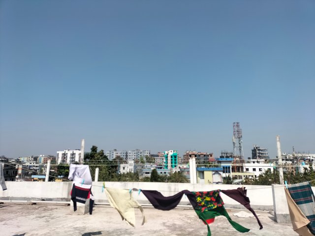 IMG20250302121748.jpg