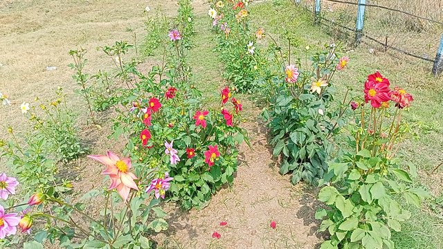 IMG20250118120146.jpg