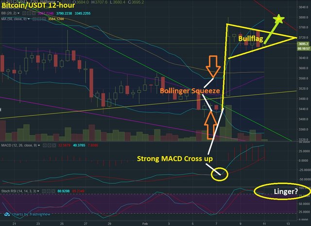 Feb 11 BTC T&A.jpg