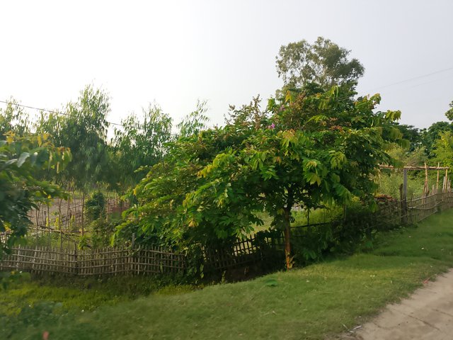 1000045085.jpg