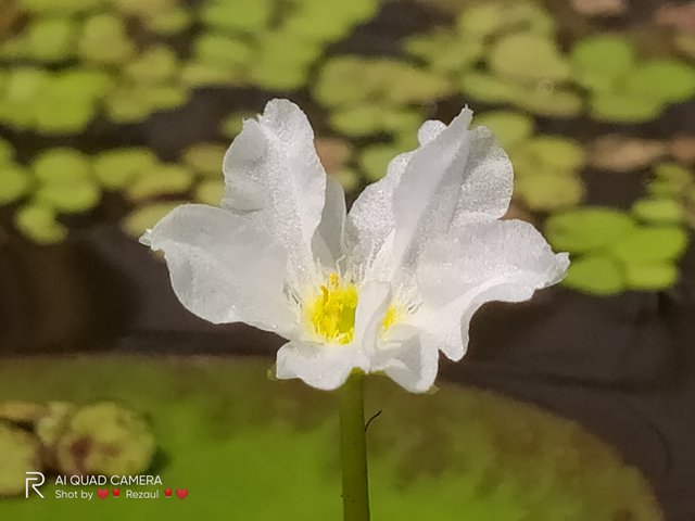 IMG20210818102403.jpg