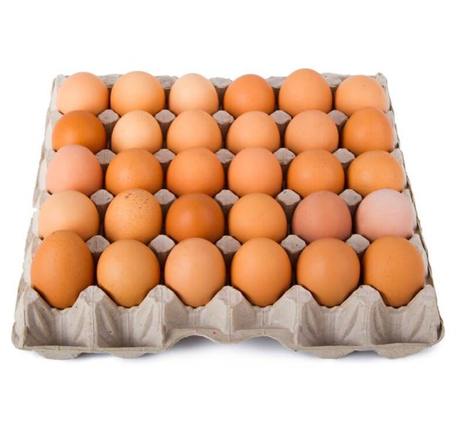 eggsLarge_1024x1024.jpg