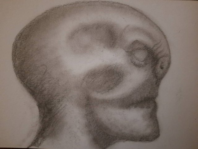 20250815_102912.jpg