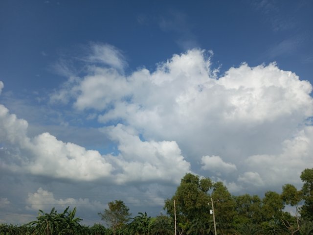 IMG_20250923_154028_262.jpg