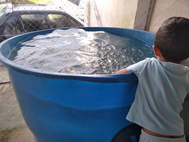 IMG_20200817_083756.jpg