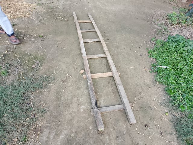 1000043098.jpg