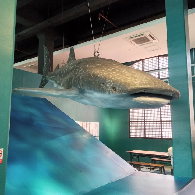 20250823_113507.jpg