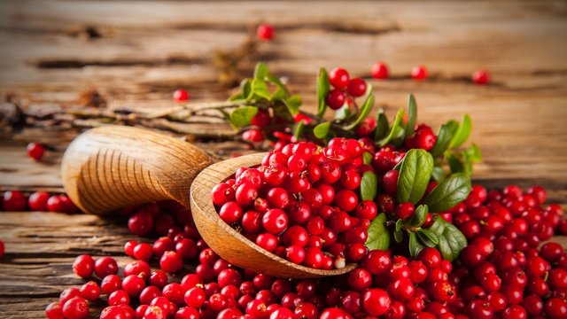 Cranberry extract.jpg