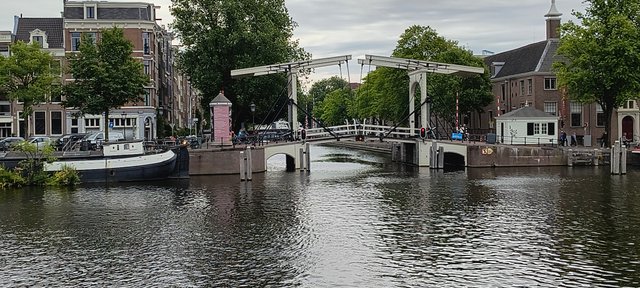 IMG_20250624_093819778_HDR.jpg