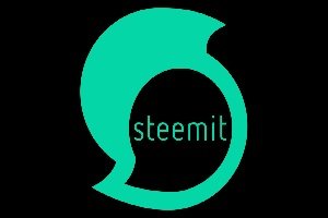 LOGO STEE.jpg