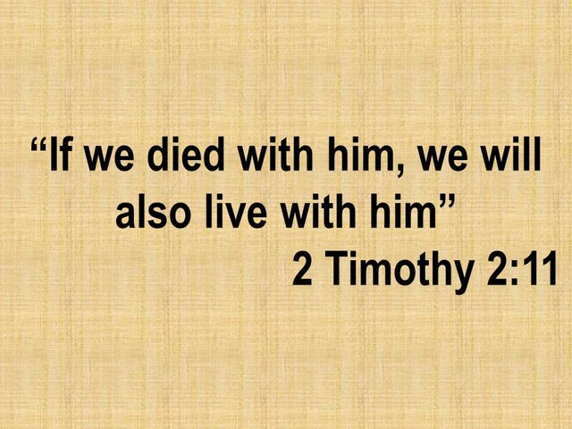 Daily bible reading. If we died with him, we will also live with him. 2 Timothy 2,11.jpg