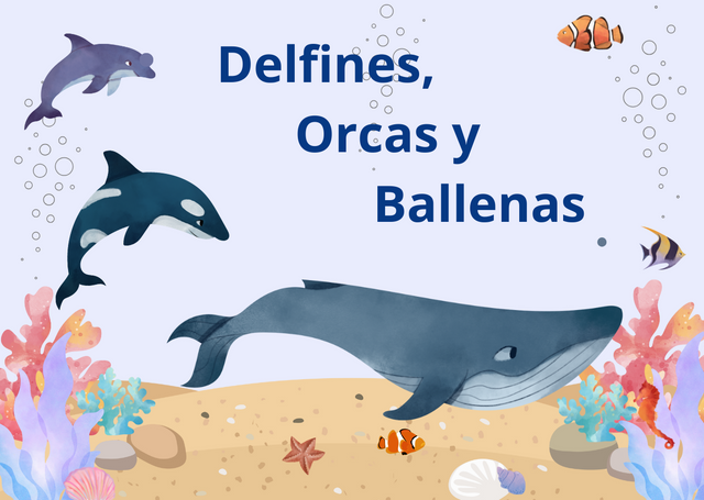 Delfines, Orcas y Ballenas.png