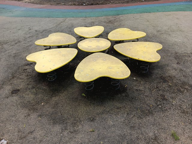 1000039328.jpg