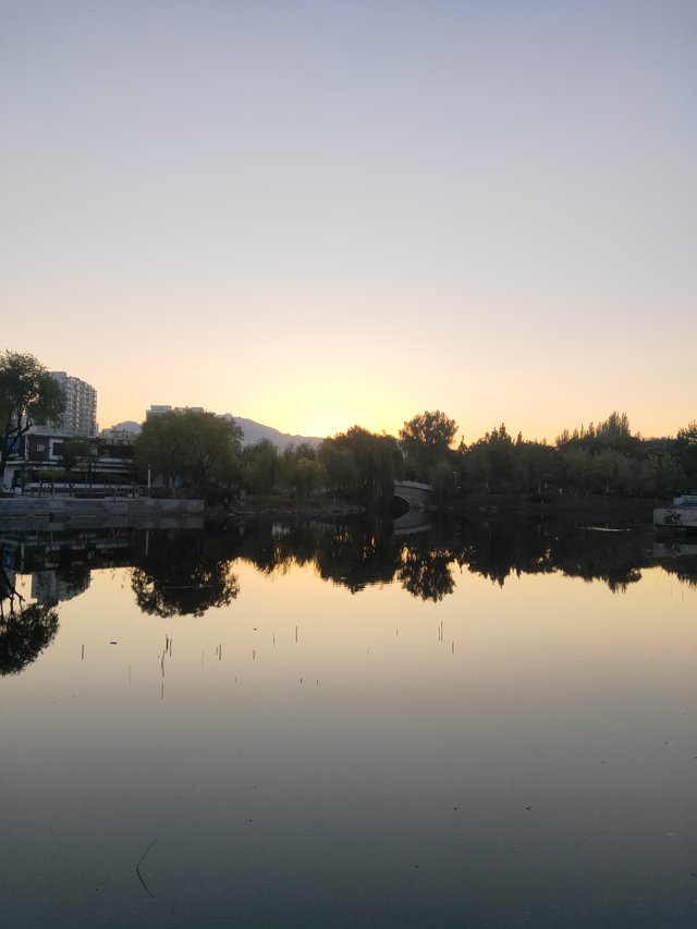 IMG20251022061851.jp