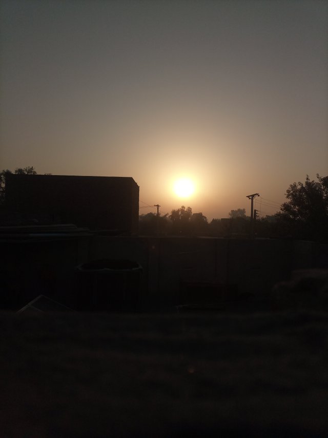 IMG_20241007_063135_077.jpg