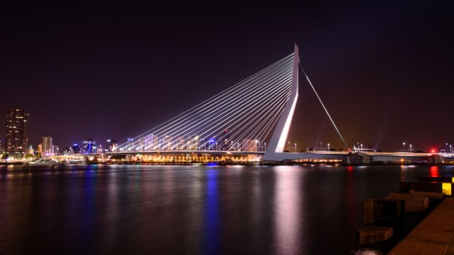 Erasmus bridge rotterdam city.jpg