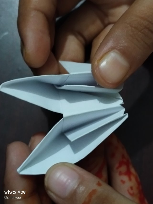 1000016764.jpg