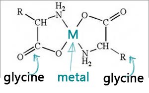 glycine.jpg