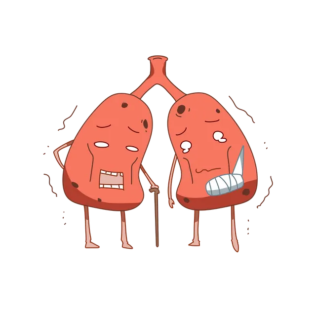 lungs-6694029_1280.webp