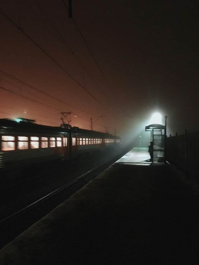 pexels-mogilat-3979156.jpg