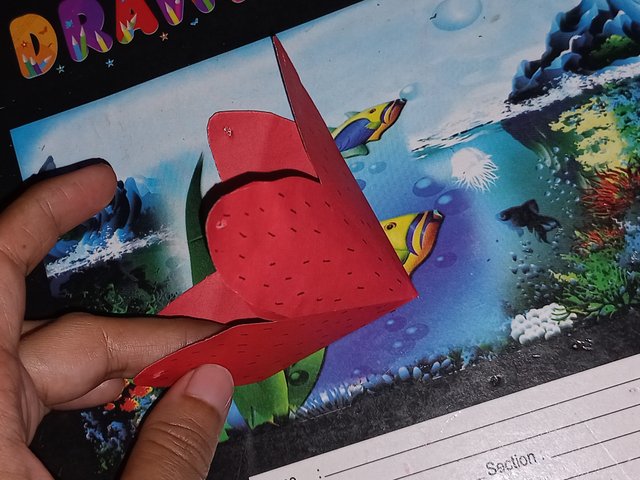 20250422_114911.jpg