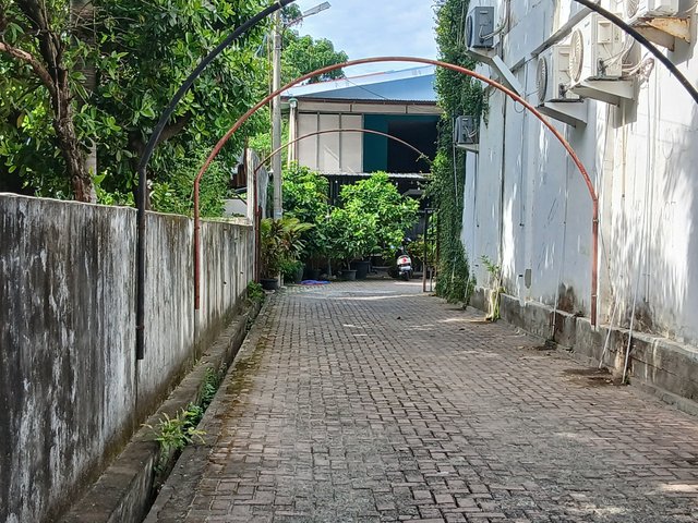 20250617_092706.jpg