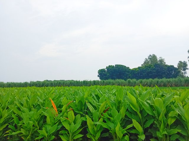 IMG_20250919_153305.jpg