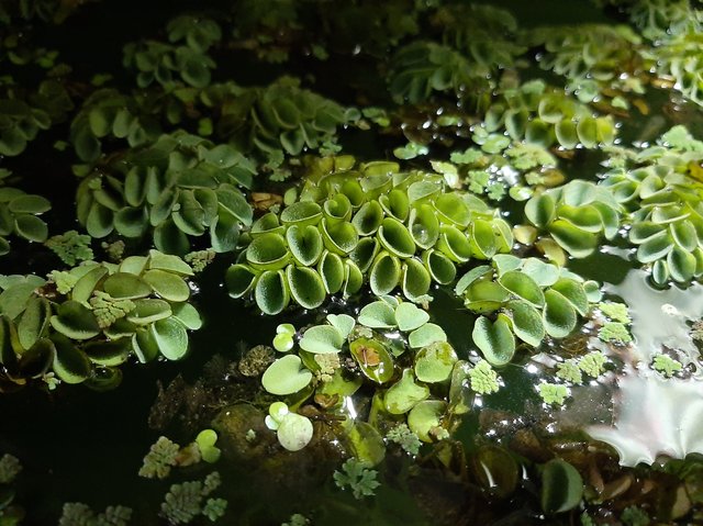 20210101_202240.jpg