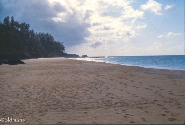 kauai beaches-6.jpg